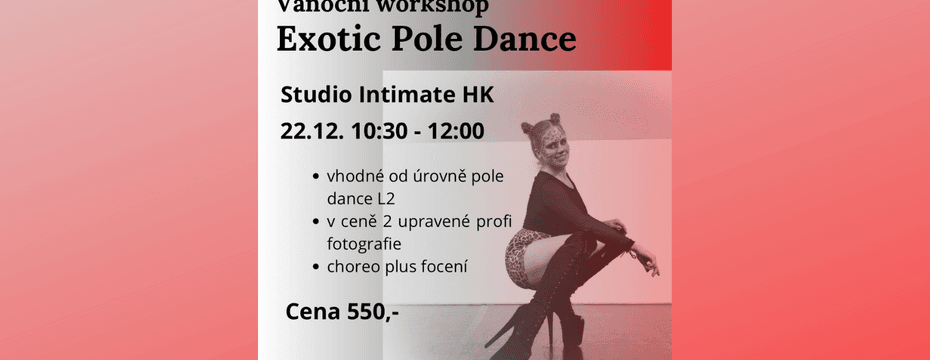 Vánoční workshop Exotic pole dance